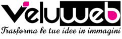 Veluweb logo